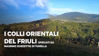 I Colli Orientali del Friuli spiegati da Massimo Zorzettig di Tunella [upl. by Marvin750]