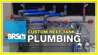 Week 5 Plumbing Overflows and Return Pumps  52 Weeks of Reefing [upl. by Adalia232]