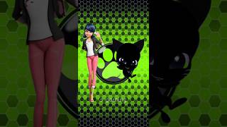 Miraculous Character as a Cat noir🐱miraculous ladybugshorts viraltranding [upl. by Keung]