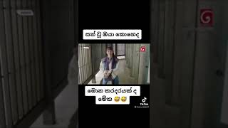 මොන කරදරයක්ද මේක 😅🤣  Hwarang Tik Tok [upl. by Herzel]