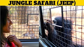 BANNERGHATTA NATIONAL PARK  Jungle Safari  Tamil Travel Vlog [upl. by Mussman]