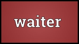 Waiter Meaning [upl. by Ettenowtna]