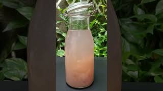 Water Kefir  Bakteri Pemakan Buah waterkefir probiotik kefir [upl. by Atiral761]