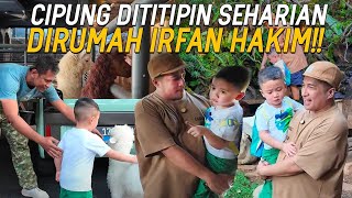 SEHARIAN NGASUH BINATANG DIRUMAH IRFAN HAKIM CIPUNG KEGIRANGAN DIKASIH BABY DOMBA BUAT BAWA PULANG [upl. by Dolley]