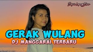 DJ Manggarai terbaru 2023 Gerak Wulang By Safrin Lapang Rmxr [upl. by Endora11]