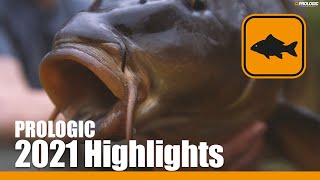 Carp Fishing 2021 Highlights [upl. by Weiss]