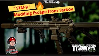 Modding STM9  Escape from Tarkov  Patch 1210  Guide [upl. by Nelehyram]