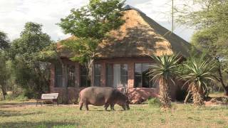 Tshukudu Game Lodge Hoedspruit  South Africa Travel Channel 24 [upl. by Artima762]