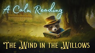 🦝 A Calm Reading of quotThe Wind in the Willowsquot  Full Audiobook for Sleep 😴 [upl. by Enelram]