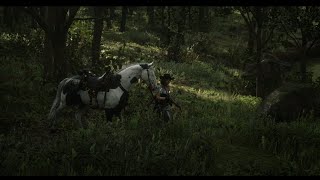 Rdr2 Red Dead Redemption 2 Online  Gameplay  Messing and roaming around with my partner ❤ [upl. by Enrak910]