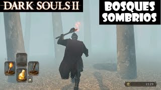 Dark Souls 2 guia BOSQUES SOMBRÍOS  Gameplay trucos y secretos de la zona  Episodio 24 [upl. by Shara]