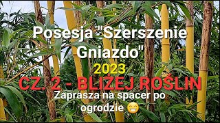 Vivax Aureocaulis  Posesja quotSzerszenie Gniazdoquot  tyt quotBliżej roślinquot cz1 [upl. by Lesirg]