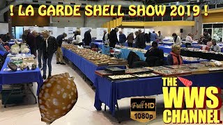 Many seashells  La Garde Shell Show 2019 France Sea shell Collection [upl. by Ponce980]