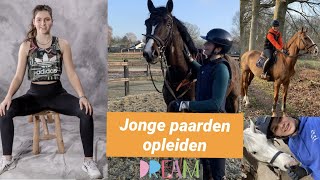 Nieuw paard op stal Millstreams Olympus  ✰WEEKVLOG 218✰  Kristy Snepvangers [upl. by Nilram]