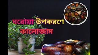 ছানার কালোজাম মিষ্টি রেসিপি  Chanar kalojam misti  kalojam recipe Bangladeshi sweet recipe [upl. by Adrahc756]