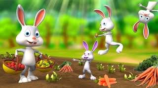 खरगोश का प्यारा परिवार  Rabbits Lovely Family 3D Animated Hindi Moral Stories  JOJO TV Hindi [upl. by Freddi]