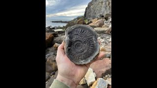 Saltwick Bay June 2024 fossilhunting ammonites fossils [upl. by Trever866]