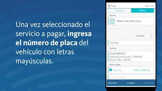 Tutorial para Pago de Matrícula Vehicular [upl. by Rednasela]