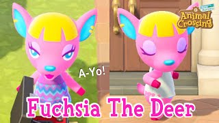 Fuchsia The Deer Sisterly Villager Animal Crossing New Horizons ACNH [upl. by Yeldah]