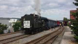 Dampffahrten auf der SurseeTriengen Bahn mit dem Tigerli E 33 5 HD [upl. by Lesde]