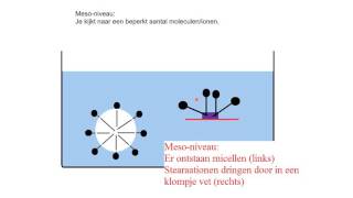 Micro meso macro [upl. by Ilesara]