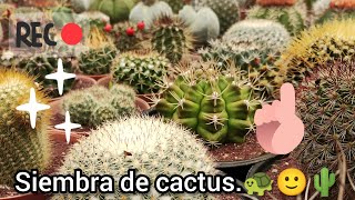 Día de siembra de Cactus y más 🌵🙂🐢 [upl. by Isej197]