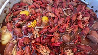 Crawfish prices have consumers feeling the pinch [upl. by Sydel]