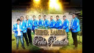 El corrido del Fresa  Super Banda Perla Plateada Letra En Vivo [upl. by Dola]