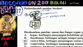 un sma 2017 biologi bocoran ucun dki paket A no 17 sistem pencernaan [upl. by Eelanaj]