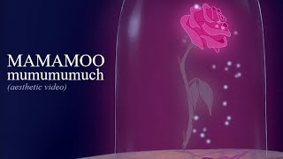 mamamoo  mumumumuch visual lyric video [upl. by Loralyn]