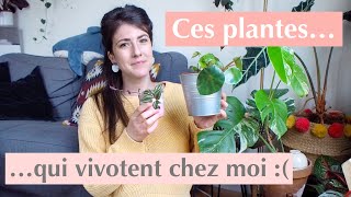 Cest pas la folie  Ces plantes qui vivotent chez moi [upl. by Ode]