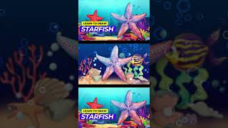 How To Draw A Cartoon Starfish For Kids [upl. by Flavio]