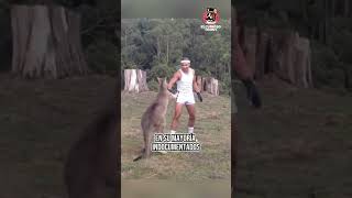 HUMANO VS CANGURO shorts viral [upl. by Nyre]