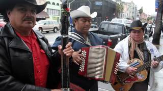 Esta Noche  Los Cuervos de Jalisco [upl. by Arza46]