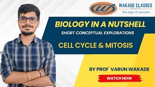 Cell Cycle amp Stages of Mitosis [upl. by Yecnay]