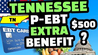 P EBT 2022  TENNESSEE EXTRA SNAP BENEFITS FOR DECEMBER 2022 🥳 DEPOSIT DATES [upl. by Ynohtona616]