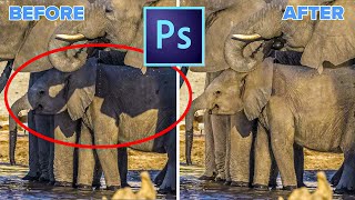 How to Remove Background Shadow Instantly in Photoshop 2023 amp 2024 [upl. by Flavio131]