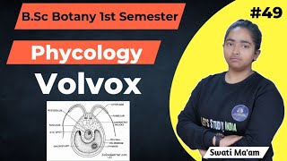 Volvox  BSc Botany 1st Semester  Swati Maam [upl. by Leitnahs]