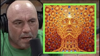 Joe Rogan Once Did DMT 3 Times in One Day [upl. by Anerdna]