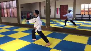 Segunda Forma  Taekwondo poomsae Taegeuk i Yang [upl. by Laing390]