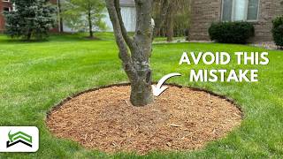 Tree Edging and Mulching Mastery  Tips for PicturePerfect Circles [upl. by Elvina]