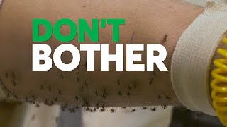 Dont Bother Using These Insect Repellents  Consumer Reports [upl. by Llenahc]