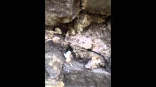 repairing my foundation part 7 filling deep joints with lime mortar [upl. by Aicerg]