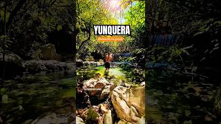 🔸️Nacimiento río grandeYunqueraMálaga📍andalucia aventura rios youtubeshorts trendingshorts [upl. by Oinotna]