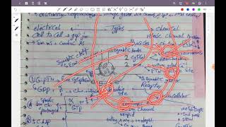 L3 physiology synaptic transmission cns 42 [upl. by Harihat]