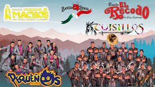 Tecno Bandas De Los 90s Mix 2023  Banda Pequeños Musical El Recodo Banda Machos [upl. by Idnil]