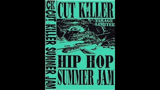 DJ Cut Killer  Hip Hop Summer Jam 1995 [upl. by Pietro]