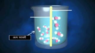 Diffusion and Osmosis  Hindi [upl. by Joash]