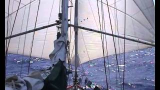 Twizzle Rig 4 downwind Trades sailing  6 [upl. by Ott]