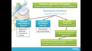 FARMACOS AGONISTAS COLINERGICOS [upl. by Airdnola573]